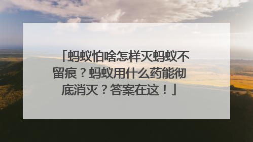 蚂蚁怕啥怎样灭蚂蚁不留痕？蚂蚁用什么药能彻底消灭？答案在这！