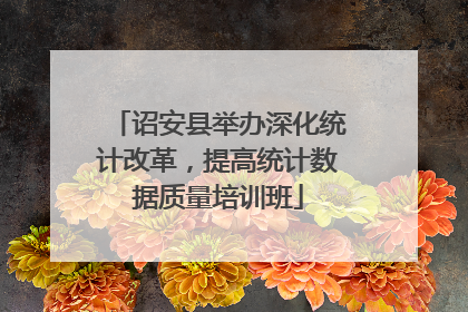 诏安县举办深化统计改革，提高统计数据质量培训班