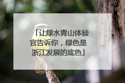 让绿水青山体验官告诉你，绿色是浙江发展的底色