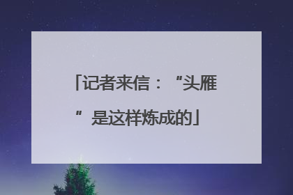 记者来信：“头雁”是这样炼成的