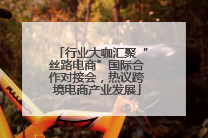 行业大咖汇聚“丝路电商”国际合作对接会，热议跨境电商产业发展