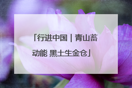 行进中国｜青山蓄动能 黑土生金仓