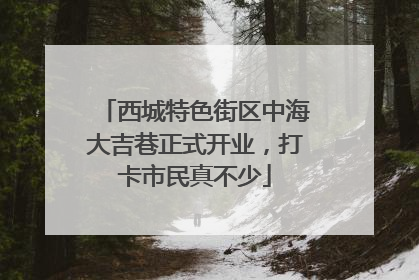 西城特色街区中海大吉巷正式开业，打卡市民真不少