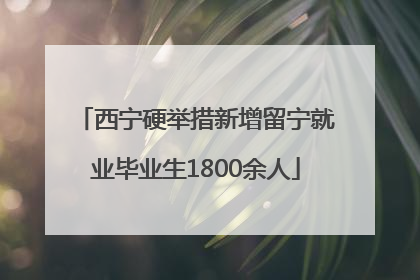 西宁硬举措新增留宁就业毕业生1800余人