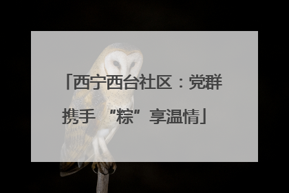 西宁西台社区：党群携手 “粽”享温情