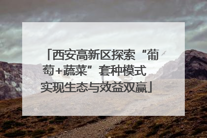 西安高新区探索“葡萄+蔬菜”套种模式 实现生态与效益双赢
