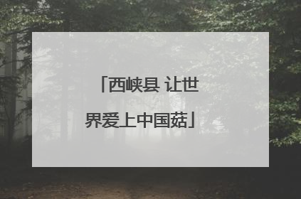 西峡县 让世界爱上中国菇