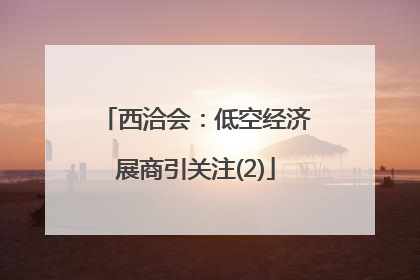 西洽会：低空经济展商引关注(2)
