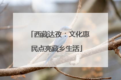 西藏达孜：文化惠民点亮藏乡生活