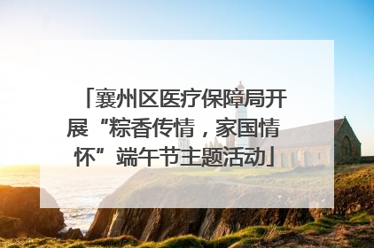 襄州区医疗保障局开展“粽香传情，家国情怀”端午节主题活动