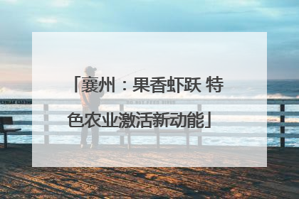 襄州：果香虾跃 特色农业激活新动能