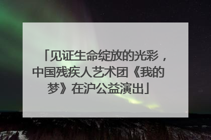 见证生命绽放的光彩，中国残疾人艺术团《我的梦》在沪公益演出