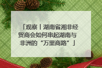 观察丨湖南省湘非经贸商会如何串起湖南与非洲的“万里商路”