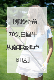 规模空前 70头白犀牛从南非运抵卢旺达