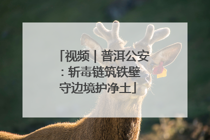 视频｜普洱公安：斩毒链筑铁壁 守边境护净土