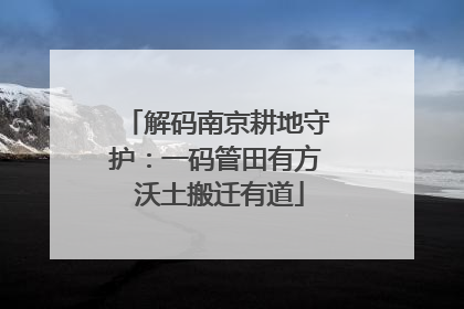 解码南京耕地守护：一码管田有方 沃土搬迁有道