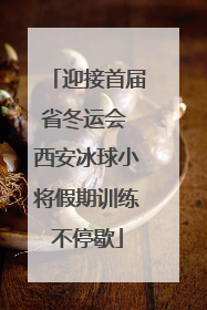 迎接首届省冬运会 西安冰球小将假期训练不停歇