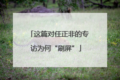 这篇对任正非的专访为何“刷屏”