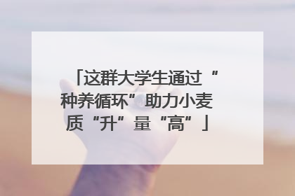 这群大学生通过“种养循环”助力小麦质“升”量“高”