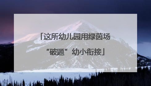 这所幼儿园用绿茵场“破题”幼小衔接