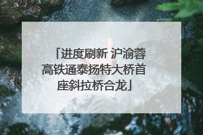 进度刷新 沪渝蓉高铁通泰扬特大桥首座斜拉桥合龙