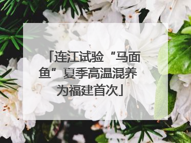 连江试验“马面鱼”夏季高温混养 为福建首次