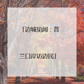 边城见闻：普兰口岸访边民