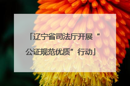 辽宁省司法厅开展“公证规范优质”行动