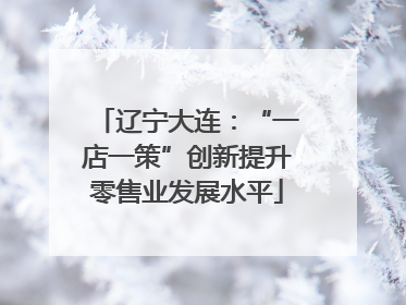 辽宁大连：“一店一策”创新提升零售业发展水平