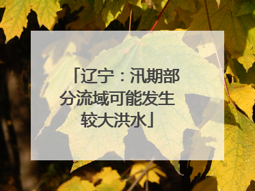 辽宁：汛期部分流域可能发生较大洪水