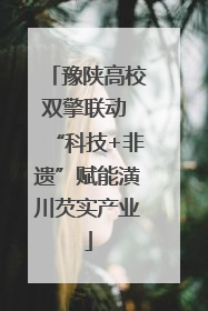 豫陕高校双擎联动 “科技+非遗”赋能潢川芡实产业
