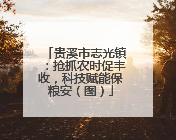 贵溪市志光镇：抢抓农时促丰收，科技赋能保粮安（图）