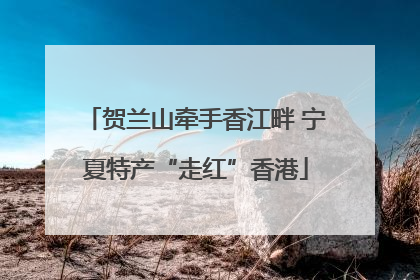 贺兰山牵手香江畔 宁夏特产“走红”香港
