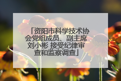 资阳市科学技术协会党组成员、副主席刘小彬 接受纪律审查和监察调查