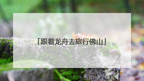 跟着龙舟去旅行佛山