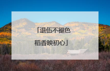 退伍不褪色 稻香映初心