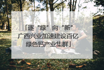 逐“绿”向“新” 广西兴业加速建设百亿绿色钙产业集群