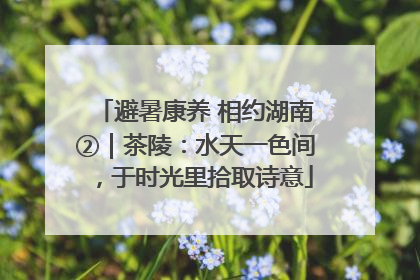 避暑康养 相约湖南②｜茶陵：水天一色间，于时光里拾取诗意