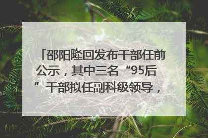 邵阳隆回发布干部任前公示，其中三名“95后”干部拟任副科级领导，均系硕士选调生