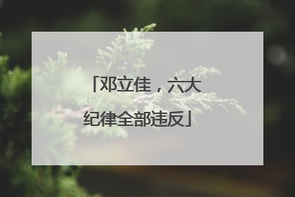 邓立佳，六大纪律全部违反