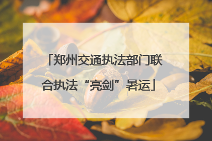 郑州交通执法部门联合执法“亮剑”暑运