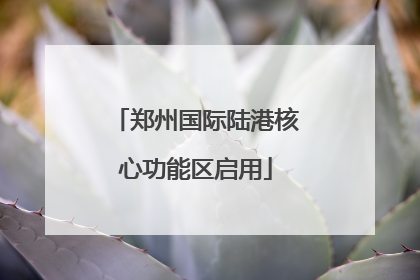 郑州国际陆港核心功能区启用