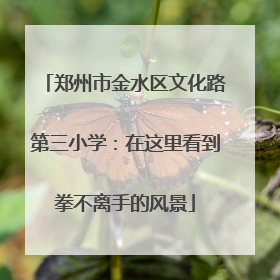 郑州市金水区文化路第三小学：在这里看到拳不离手的风景