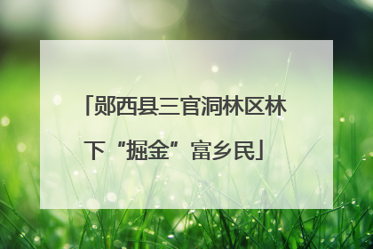 郧西县三官洞林区林下“掘金”富乡民