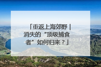 重返上海郊野｜消失的“顶级捕食者”如何归来？