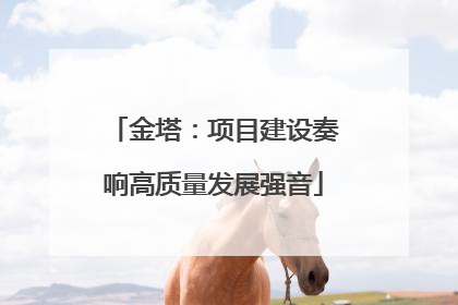 金塔：项目建设奏响高质量发展强音