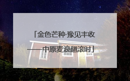 金色芒种·豫见丰收——中原麦浪翻滚时