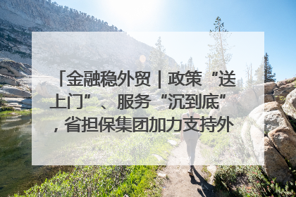 金融稳外贸｜政策“送上门”、服务“沉到底”，省担保集团加力支持外经贸高质量发展