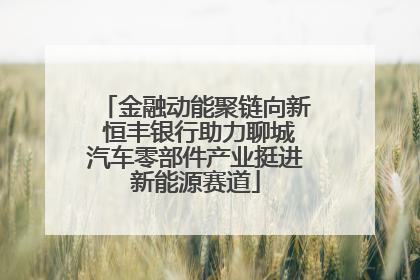 金融动能聚链向新 恒丰银行助力聊城汽车零部件产业挺进新能源赛道