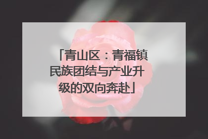 青山区：青福镇民族团结与产业升级的双向奔赴